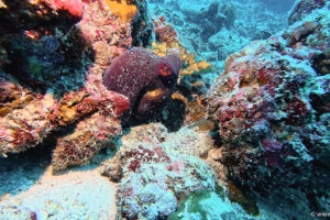 2025-11-18_15-07-18-1 2025-11-18_15-07-18-1