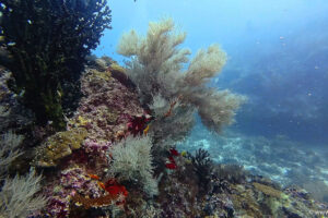 2025-11-18_17-13-39-1 2025-11-18_17-13-39-1