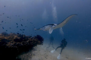 2025-11-18_17-29-29-1 2025-11-18_17-29-29-1