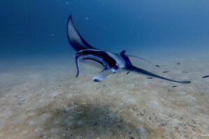 2025-11-18_17-37-24-1 2025-11-18_17-37-24-1