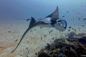 2025-11-18_17-37-24-2 2025-11-18_17-37-24-2