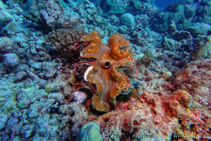 2025-11-18_17-42-04-1 2025-11-18_17-42-04-1