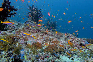 2025-11-18_19-05-07-1 2025-11-18_19-05-07-1