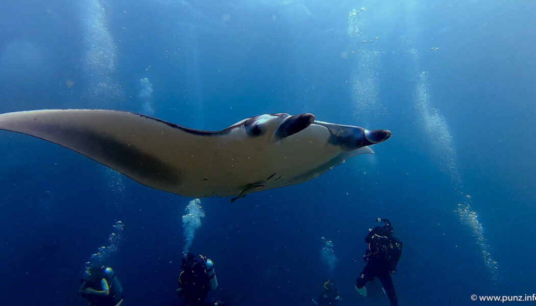 Malediven Okt/Nov. 2025