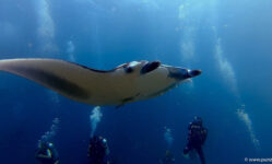 2025-11-18_19-12-16-1