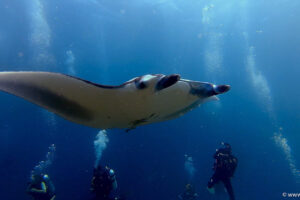 2025-11-18_19-12-16-1 2025-11-18_19-12-16-1