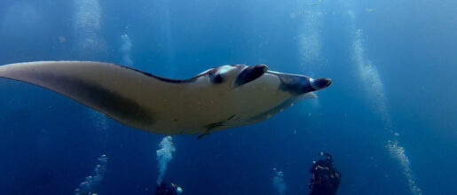 2025-11-18_19-12-16-1