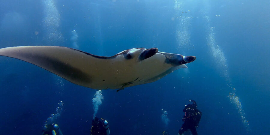 Malediven Okt/Nov. 2025