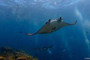 2025-11-18_19-25-16-1 2025-11-18_19-25-16-1