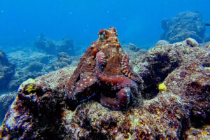 2025-11-18_19-28-24-1 2025-11-18_19-28-24-1