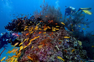 2025-11-18_19-46-54-1 2025-11-18_19-46-54-1