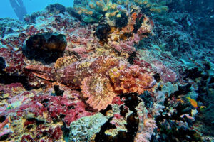 2025-11-18_19-50-56-1 2025-11-18_19-50-56-1