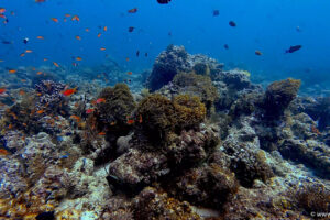 2025-11-18_19-55-21-1 2025-11-18_19-55-21-1