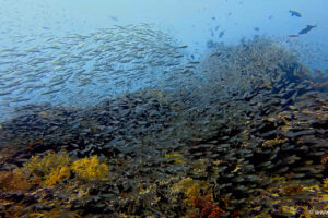 2025-11-18_19-59-13-1 2025-11-18_19-59-13-1