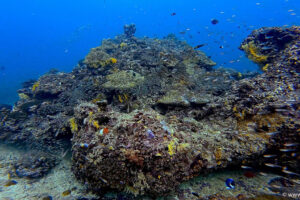 2025-11-18_20-01-18-1 2025-11-18_20-01-18-1