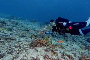 2025-11-18_20-04-49-1 2025-11-18_20-04-49-1