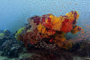 2025-11-18_20-07-58-1 2025-11-18_20-07-58-1