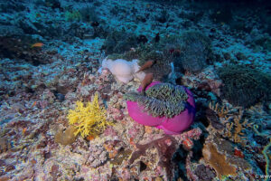 2025-11-18_20-16-09-1 2025-11-18_20-16-09-1