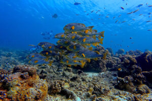 2025-11-18_20-25-41-1 2025-11-18_20-25-41-1