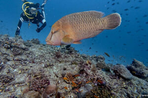 2025-11-18_20-38-58-1 2025-11-18_20-38-58-1