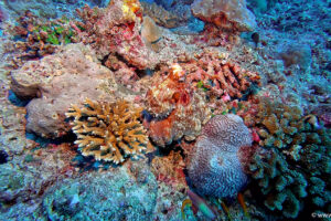 2025-11-18_20-41-03-1 2025-11-18_20-41-03-1