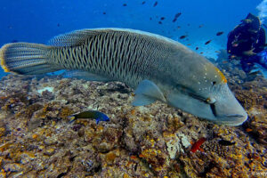 2025-11-18_20-42-56-1 2025-11-18_20-42-56-1