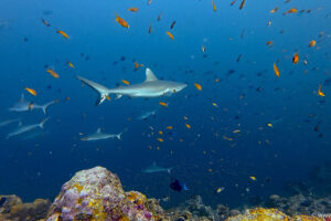 2025-11-20_10-38-02-1 2025-11-20_10-38-02-1