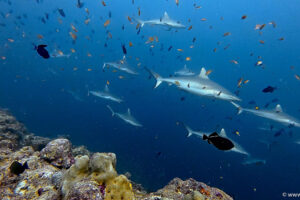 2025-11-20_13-25-05-1 2025-11-20_13-25-05-1