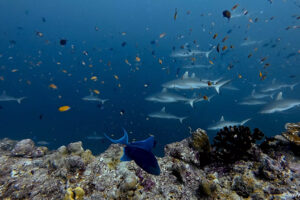 2025-11-20_13-28-25-2 2025-11-20_13-28-25-2