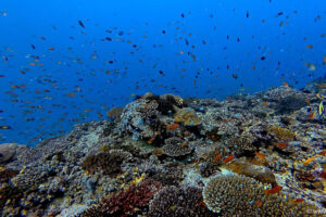 2025-11-21_09-49-47-1 2025-11-21_09-49-47-1