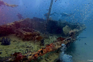 2025-11-21_12-45-41-1 2025-11-21_12-45-41-1