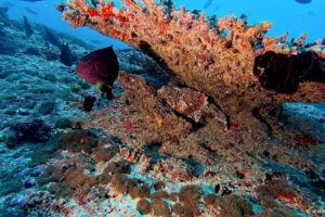 2025-11-22_09-12-03-1 2025-11-22_09-12-03-1