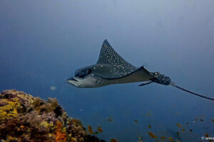 2025-11-22_09-22-38-2 2025-11-22_09-22-38-2