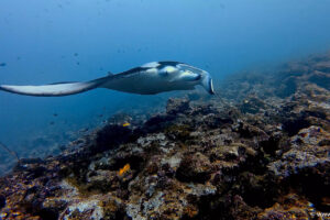 2025-11-22_12-44-21-1 2025-11-22_12-44-21-1