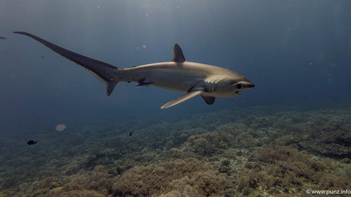 2026-04-14_08-30-36-2