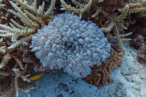 2026-04-27_05-31-35-1 2026-04-27_05-31-35-1